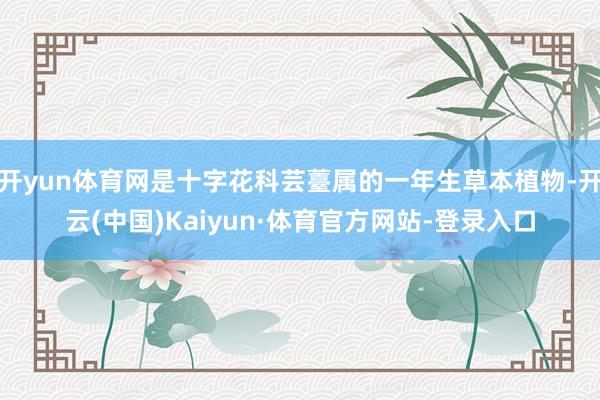 开yun体育网是十字花科芸薹属的一年生草本植物-开云(中国)Kaiyun·体育官方网站-登录入口